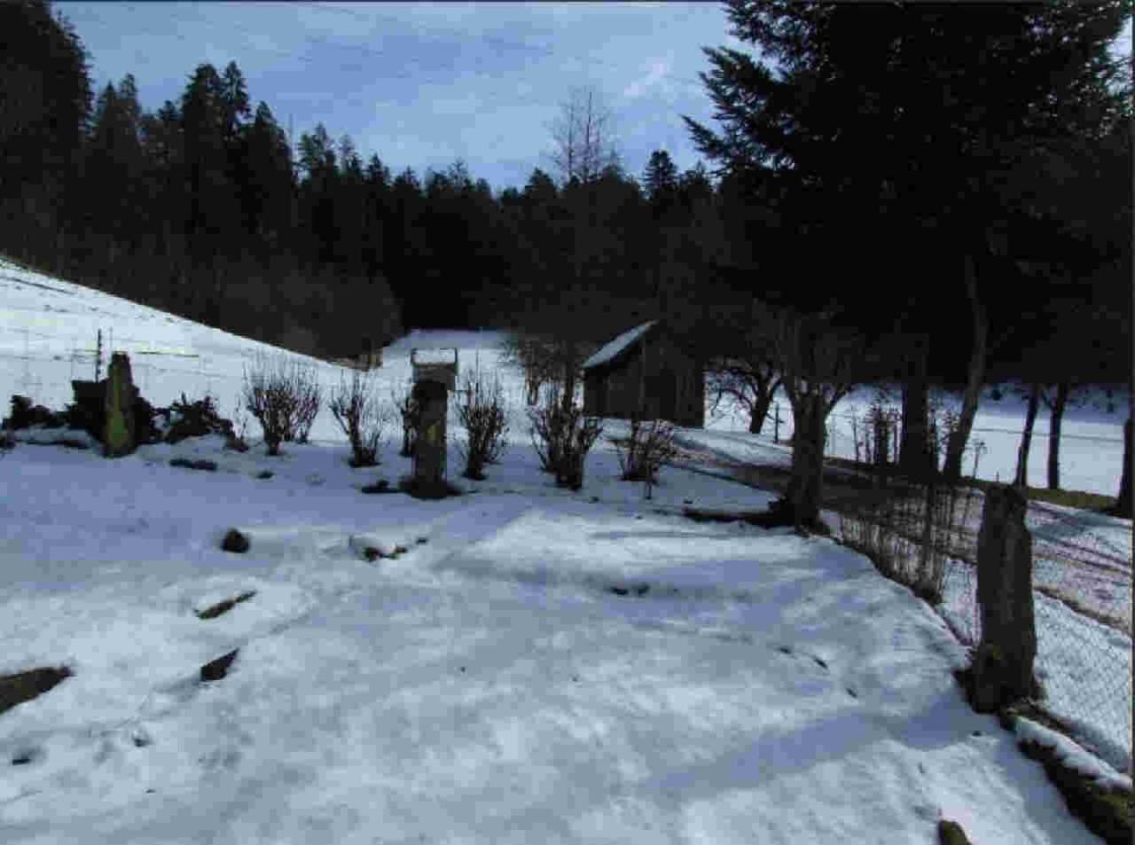 Ferienhaus Schwarzwald Seewald Erzgrube Badesee 100% Natur Ngoại thất bức ảnh
