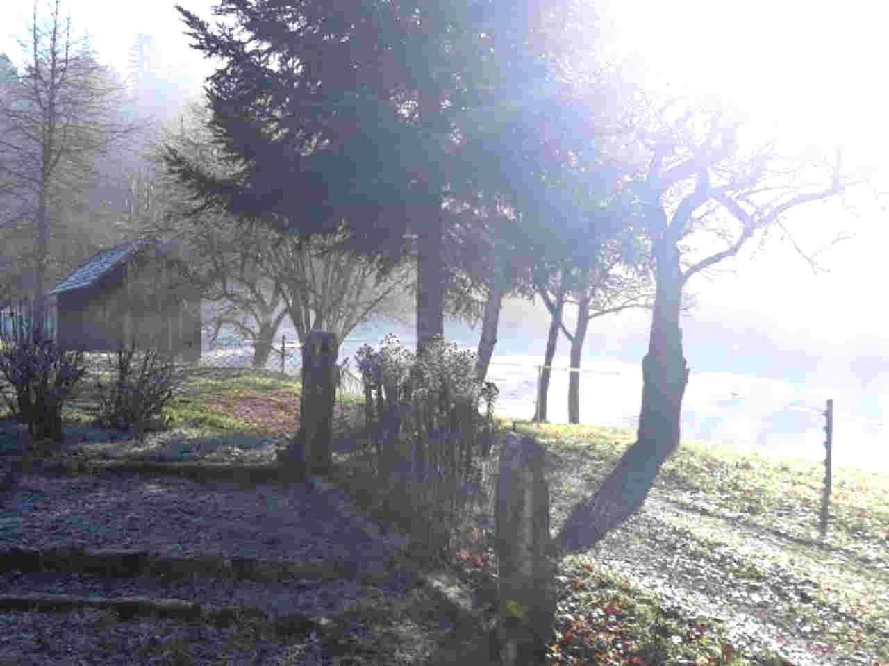 Ferienhaus Schwarzwald Seewald Erzgrube Badesee 100% Natur Ngoại thất bức ảnh