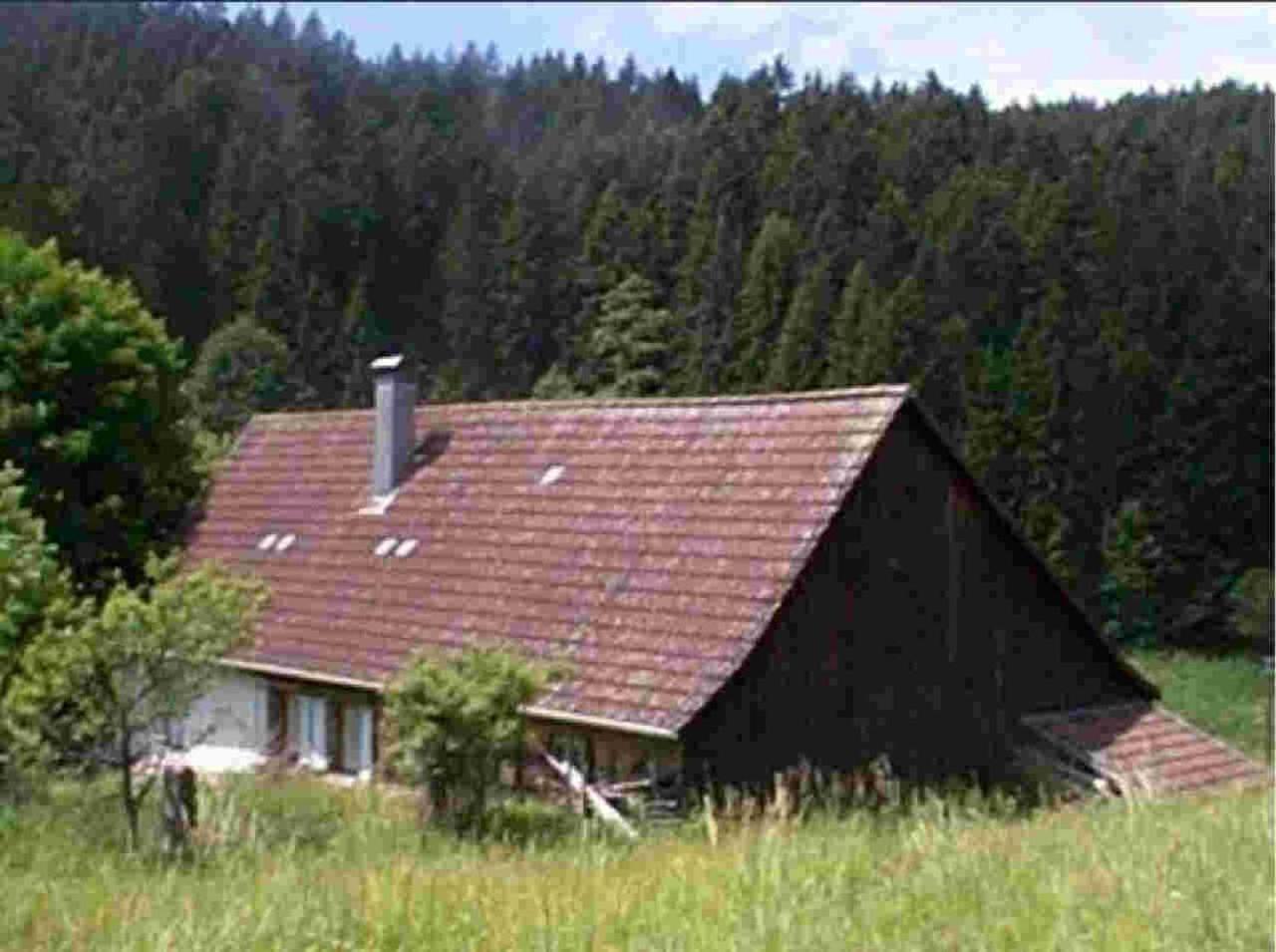 Ferienhaus Schwarzwald Seewald Erzgrube Badesee 100% Natur Ngoại thất bức ảnh